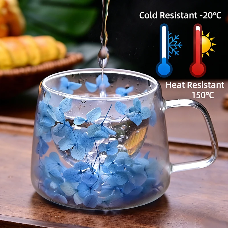 Double Wall Glass C…