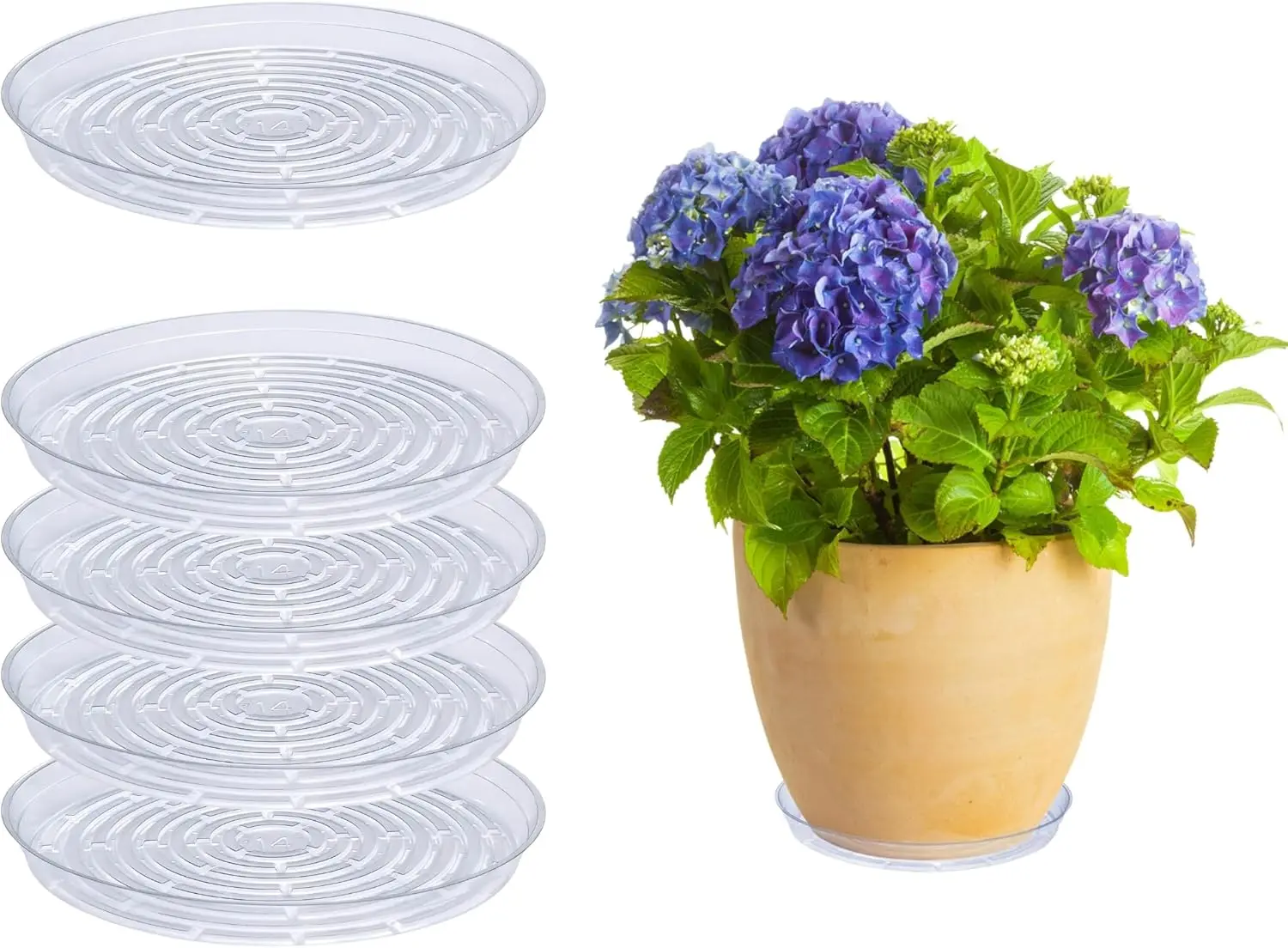 Curtis Wagner Plast…