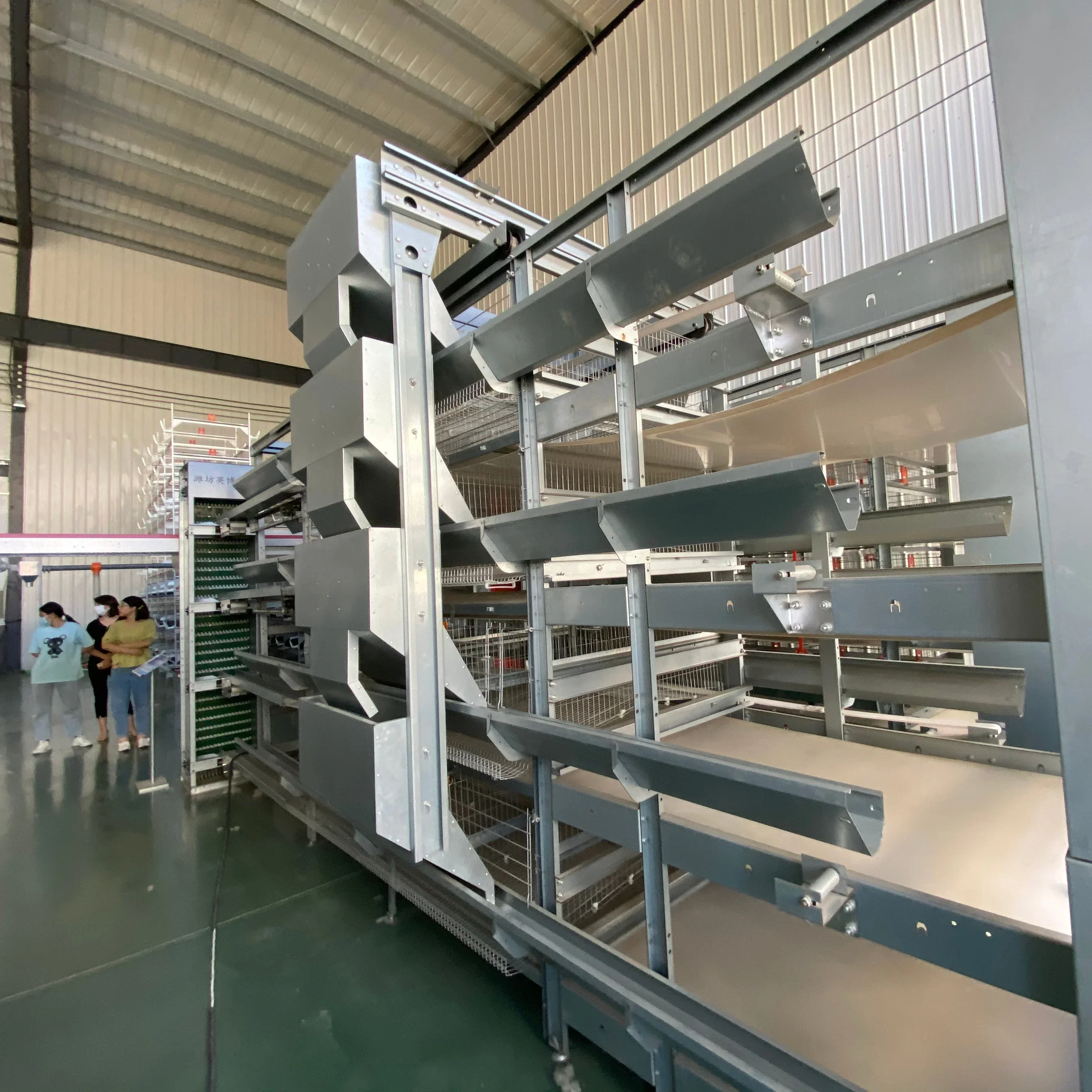 Supply Completely Automatic Laying Hen Egg Layer Battery H Type Chicken Cages System