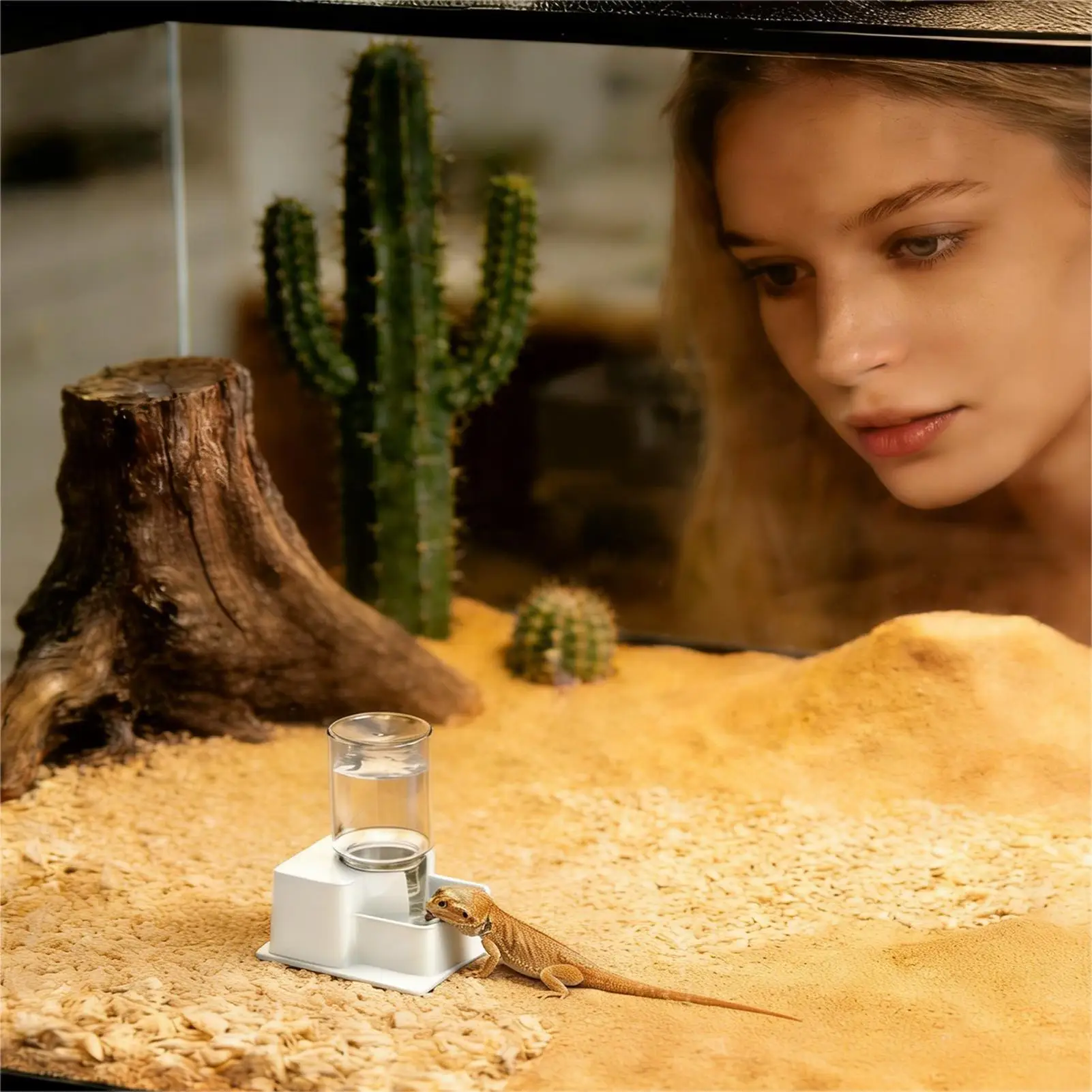 Thumbnail 3 - #34 Trending Reptile Water Bowls Right Now