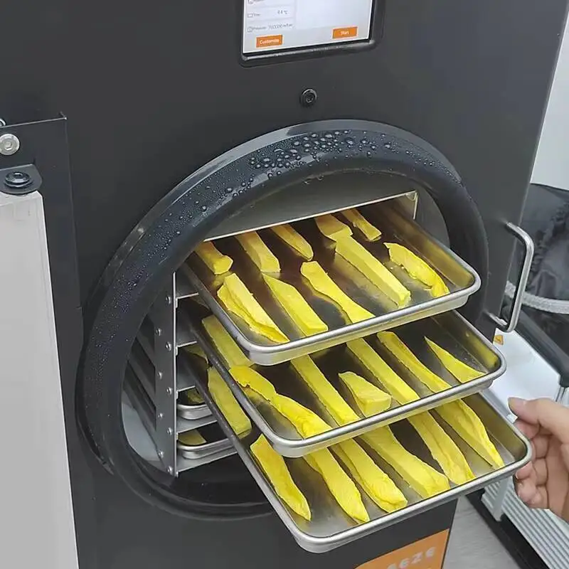 

Small Use Dryer Kg Digital Home Vacuum Control Easy Freeze Lyophilizer Compressor Pump Gear Automatic For Food Processing