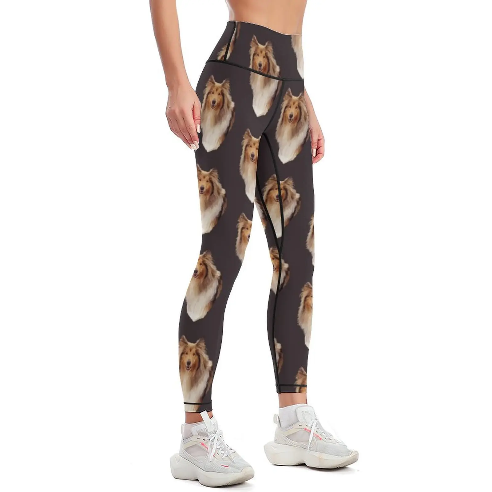 Rough Coated Sable White Collie Dog Portrait Leggings Women's sports pants for physical Womens Leggings