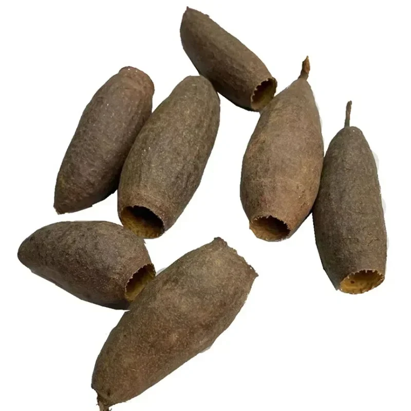 

New Natural Aquarium Decor Cichlid Cave Decoration Fish Tank Breeding Housing Shelter Ornament For Fish Shrimp