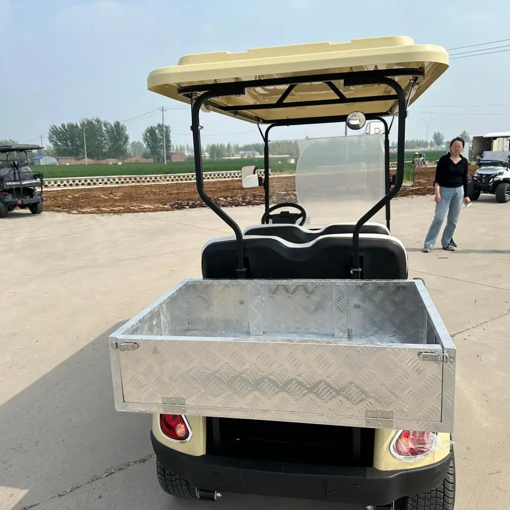 شارع القانوني 6 مقاعد عربات الغولف CE المعتمدة الغاز عربات غولف عربات التي تجرها الدواب الكبار ATV/UTV 4*4 عربة جولف كهربائية