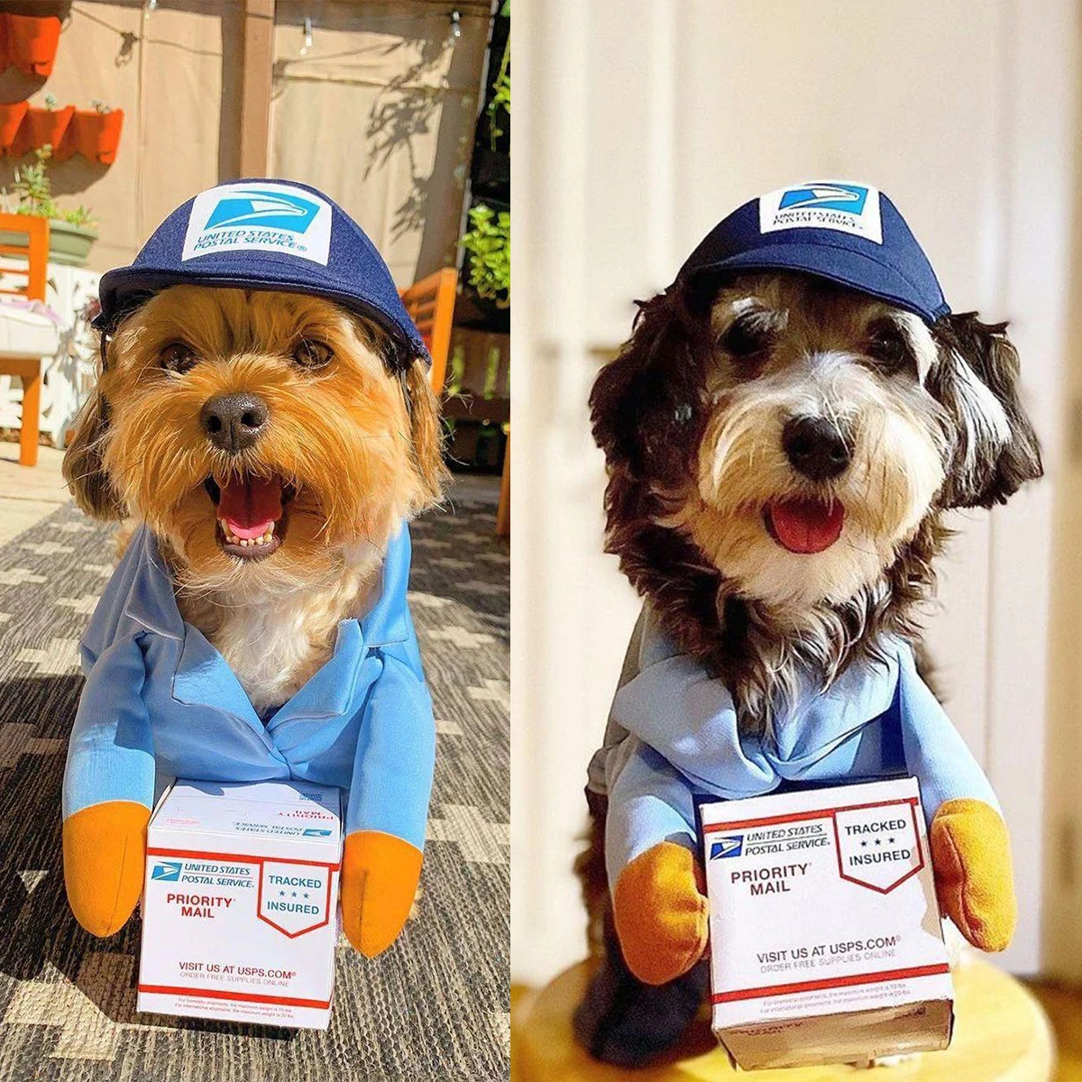 

Dog Cat Mail Carrie Costume, Funny Pet Halloween Costumes for Small Dogs Cats Puppy, Cosplay Party Dog Jeans Clothing Chrismas