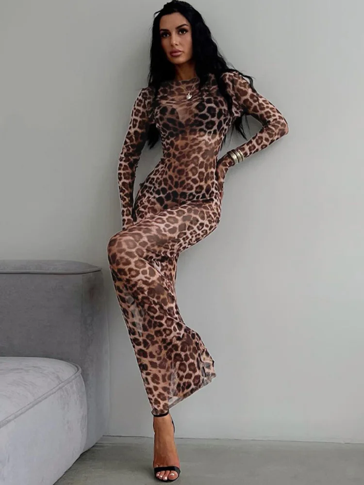 Women 2024 Summer Leopard Print Mesh Dress Streetwear Fashion Sexy O-neck Long Sleeve See-through Slim Holiday Party Dresses