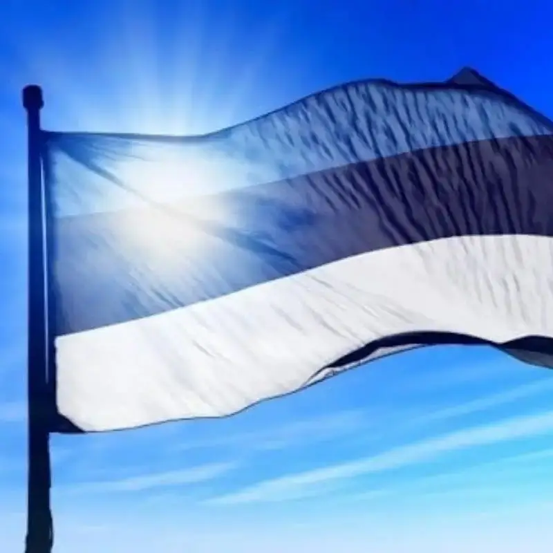 Флаг Эстонии 90*150 см, высококачественный полиэстер, подвесной национальный флаг Эстонии, баннер для украшения дома и активности