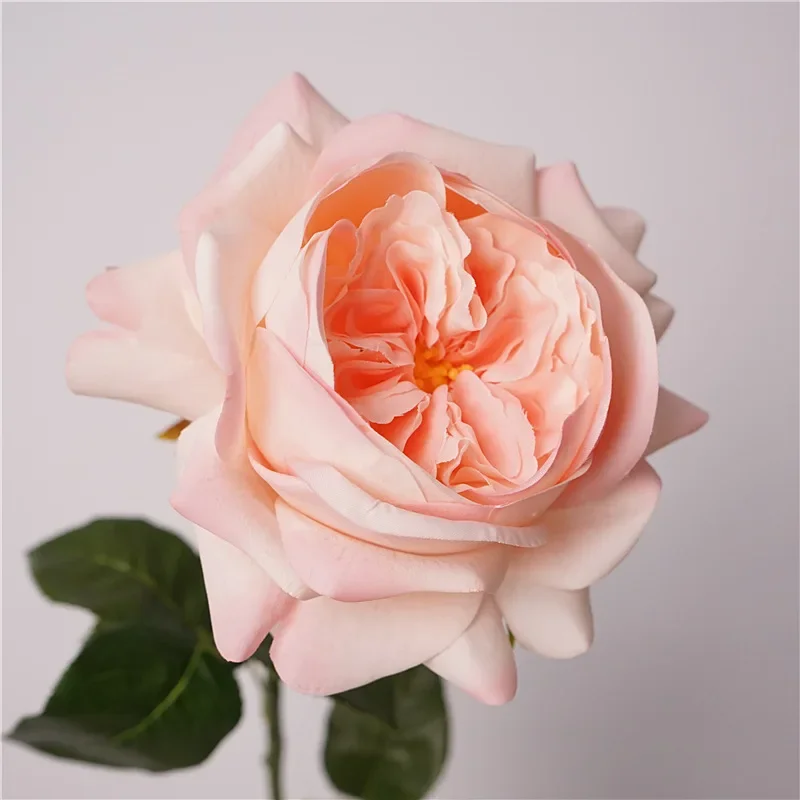 5 Stück Feuchtigkeitsspendende Austin Latex-Rosen, Künstliche Blumen mit Echtem Touch, Luxuriöse Heimdekoration, Party, Event, Hochzeit, Rosen-Blumenstrauß – Detail 4