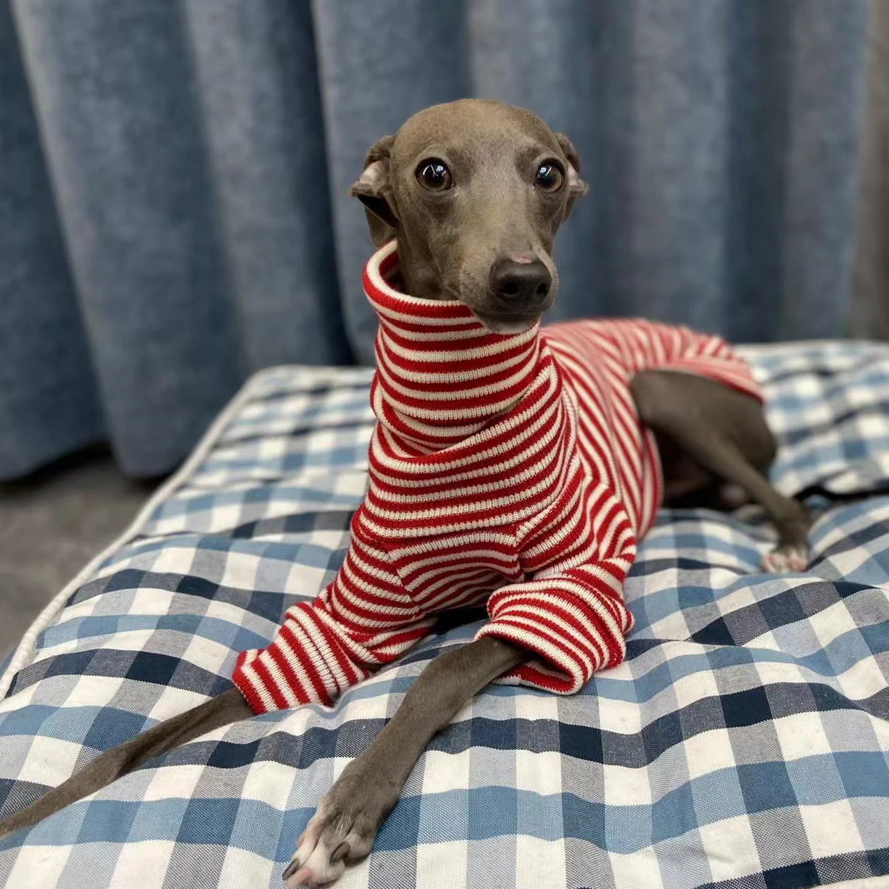 Italian Greyhound Red Striped Sweater Whippet Turtleneck Coat Stretch Warm Pet Clothing