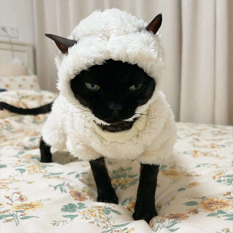 Fashion Sphynx Cat Clothing Hairless Cats White Plush Pullover Sweater Jacket Winter Thickened Warm Coat Outwear Pet Costume