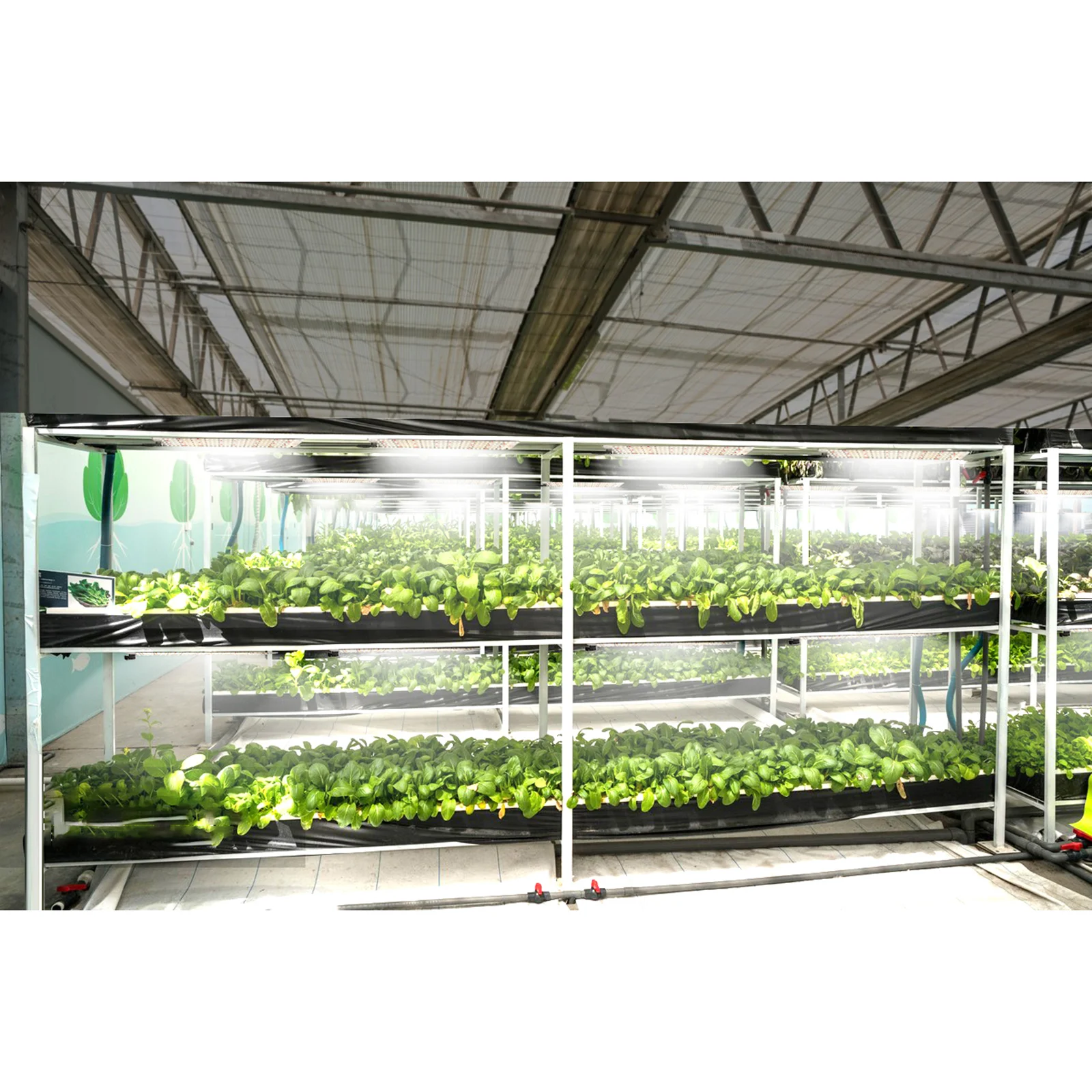 

Полноспектральная светодиодная панель для роста растений, дополнительная лампа для комнатных растений, лампа для выращивания рассады, световая панель для растений с 3/6/12 светодиодами