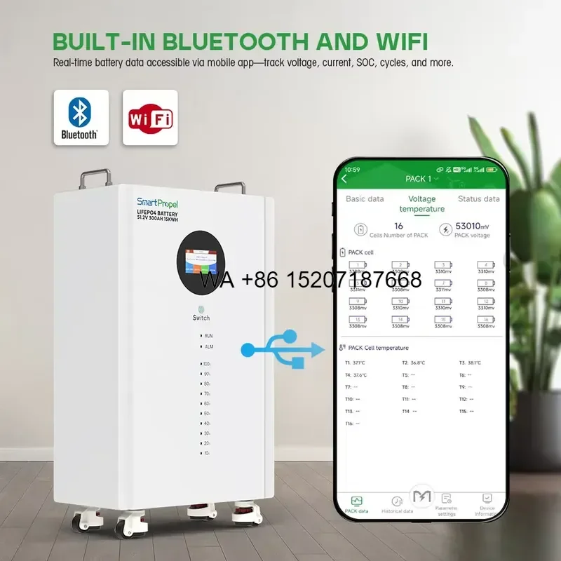 Wmwmnu for 15kwh LiFePO4 48V 300Ah Lithium Battery with Level Indicator 51.2V 100Ah 200Ah 300Ah Home Energy Storage Standing