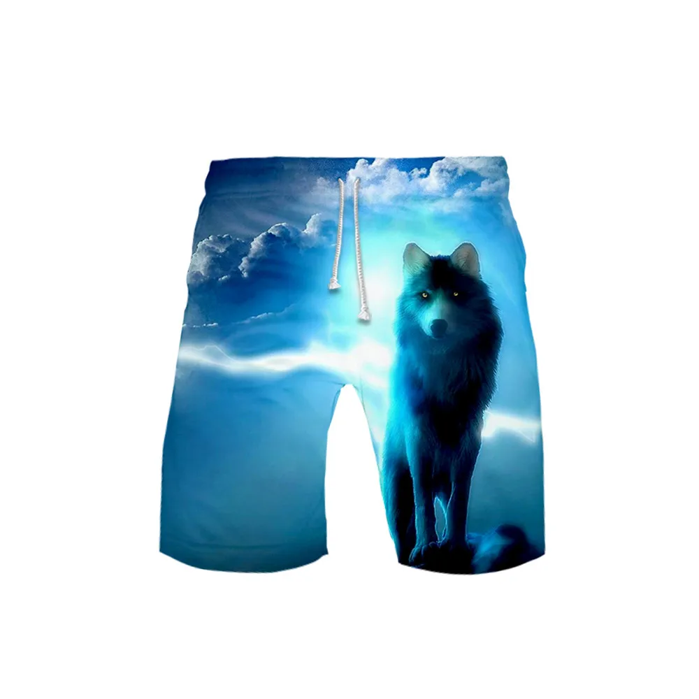 Bañador con estampado 3D de lobo para hombre, pantalones cortos de playa, clásicos, divertidos, deportivos, a la moda, Verano