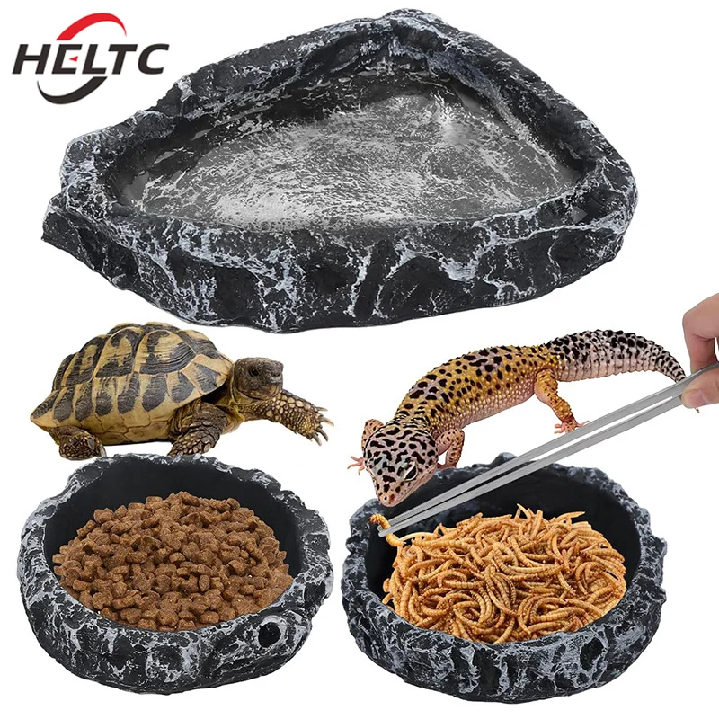 Thumbnail 3 - #19 Reptile Water Bowls Comparison Guide