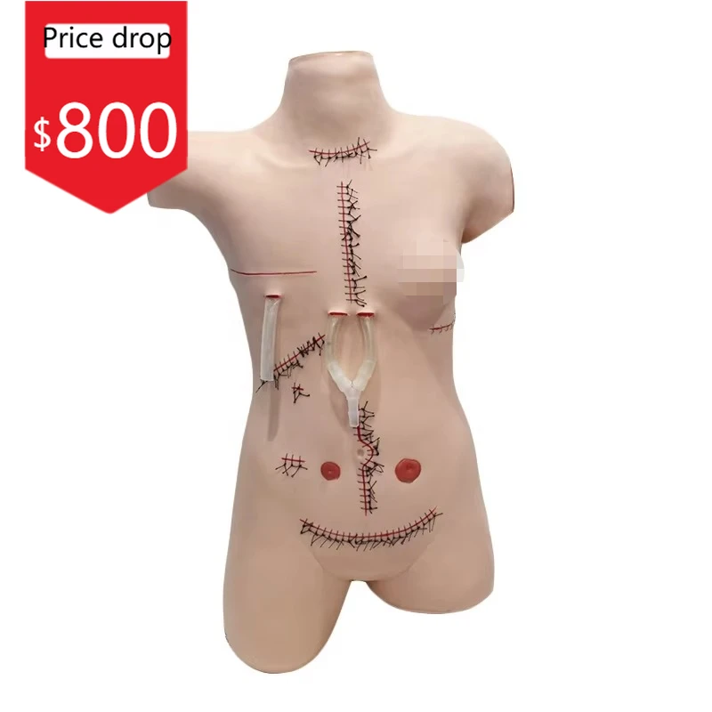 Surgical Suture And Bandaging Model Medical Simulators For Training Medical Skills Training Model