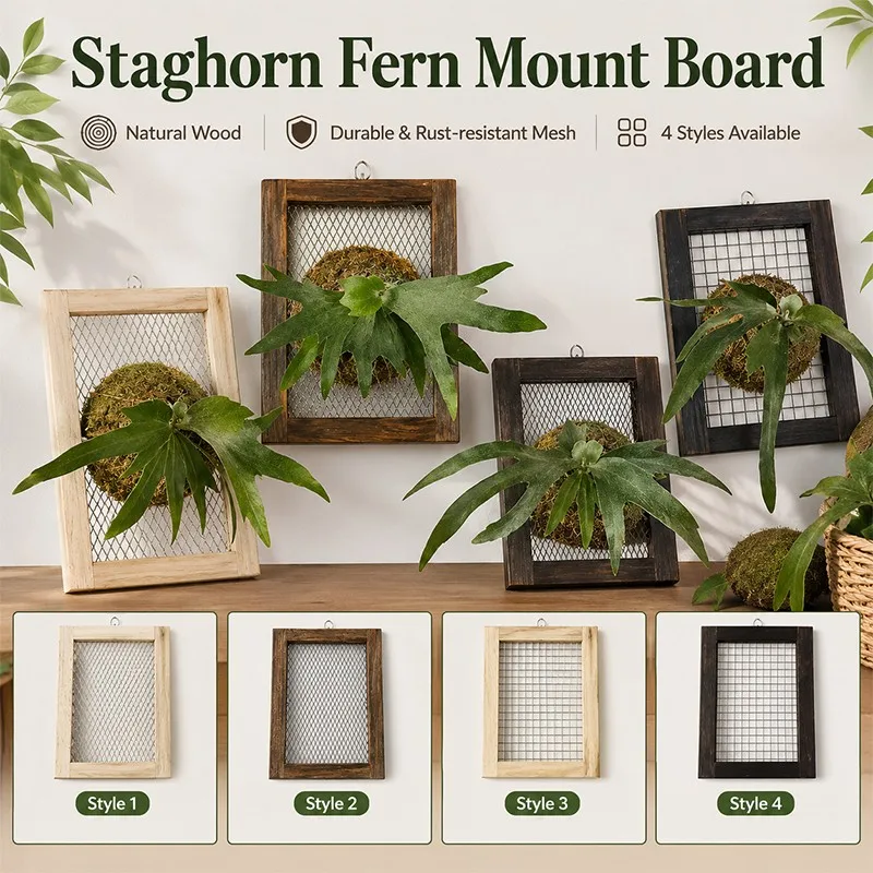 1PC Wood Staghorn Fern Mount Board 304 Stainless Steel Mesh Wall Plant Hanger Plastic Gardening Hanging Board Plant Support Care