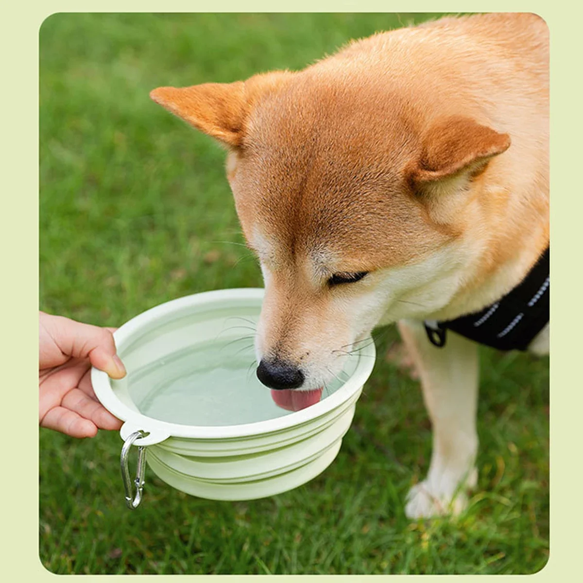 Dog Pet Folding Silicone Bowl Outdoor Travel Foldable Portable Cat Food Water Container Feeding Tray Bowl Pet Supplies