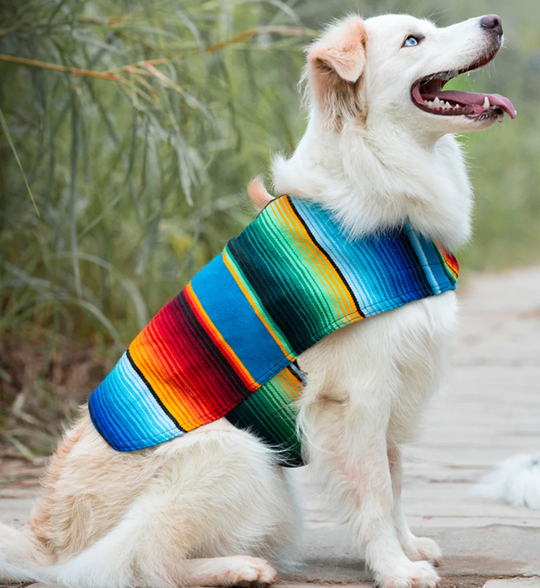 Handmade Dog Poncho from Mexican, Blanket, Southwestern, Tie Dye Dog Vest, Clothes