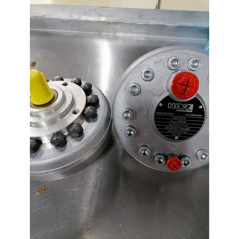 2026 Hot Item Agent Hawe R5.6 high pressure plunger pump spot supply