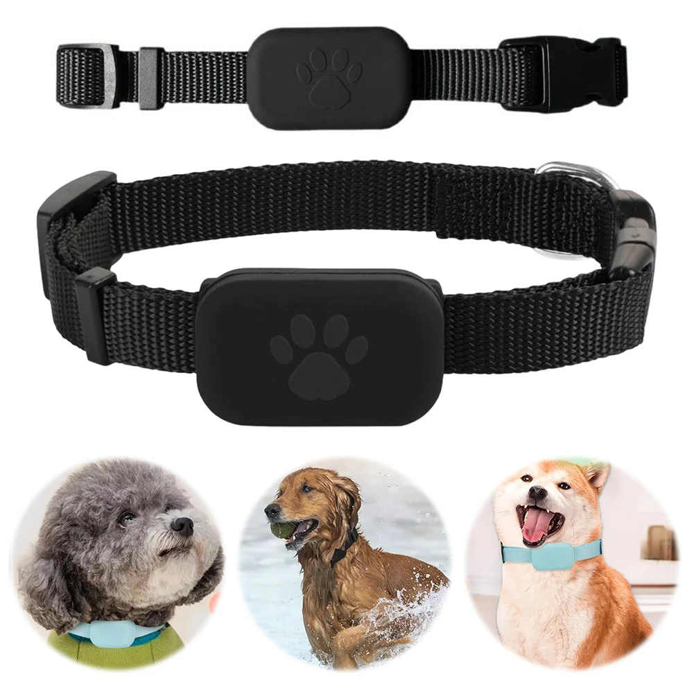 Thumbnail 3 - #8 Best Adjustable Pet Collars to Buy In 2026