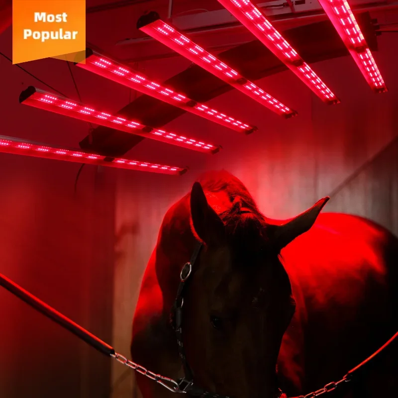 

Use Equine Led Therapy Light Infrared Solarium Device Full Body Treatment Therapy Horse Device