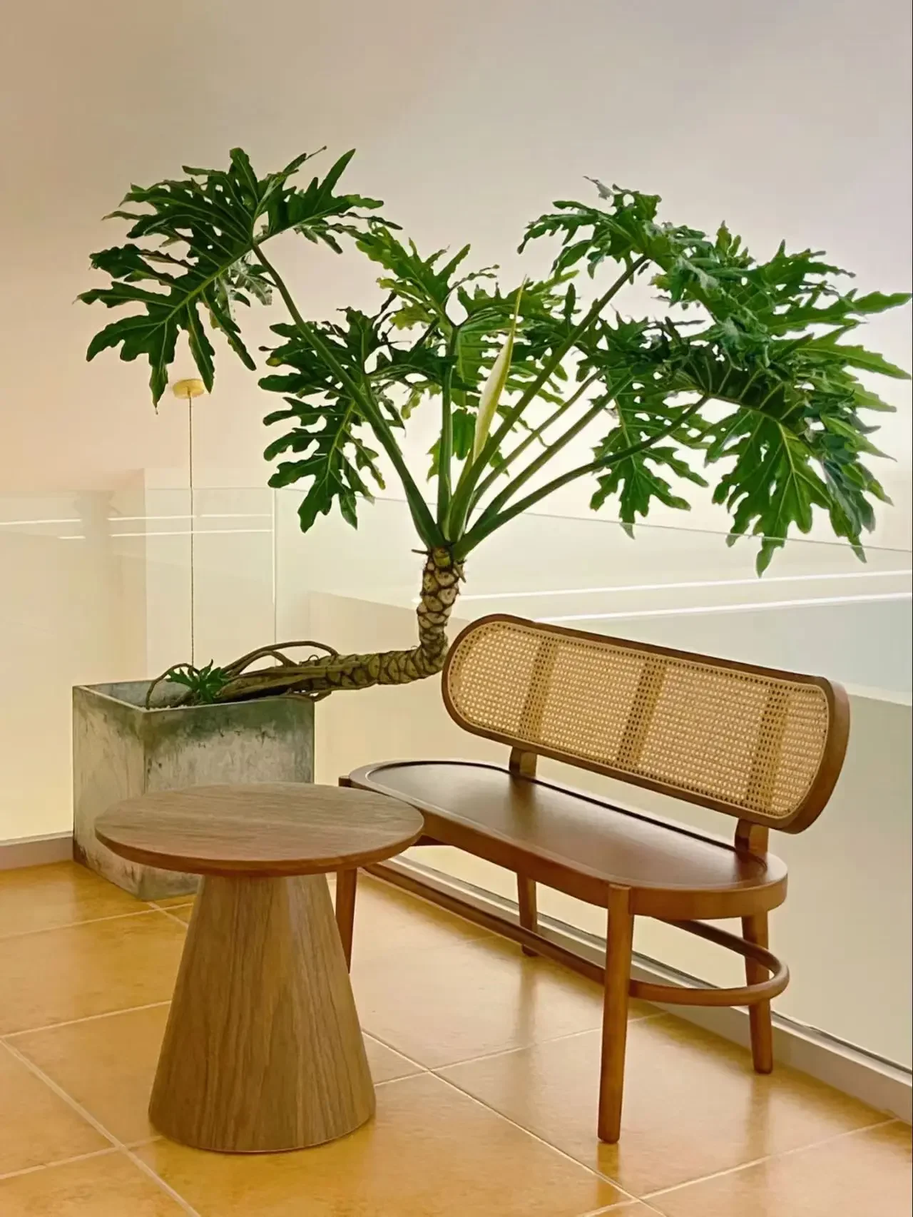 Best-selling new solid wood double chair home backrest bench French retro dining chair simple solid wood bench dining vine