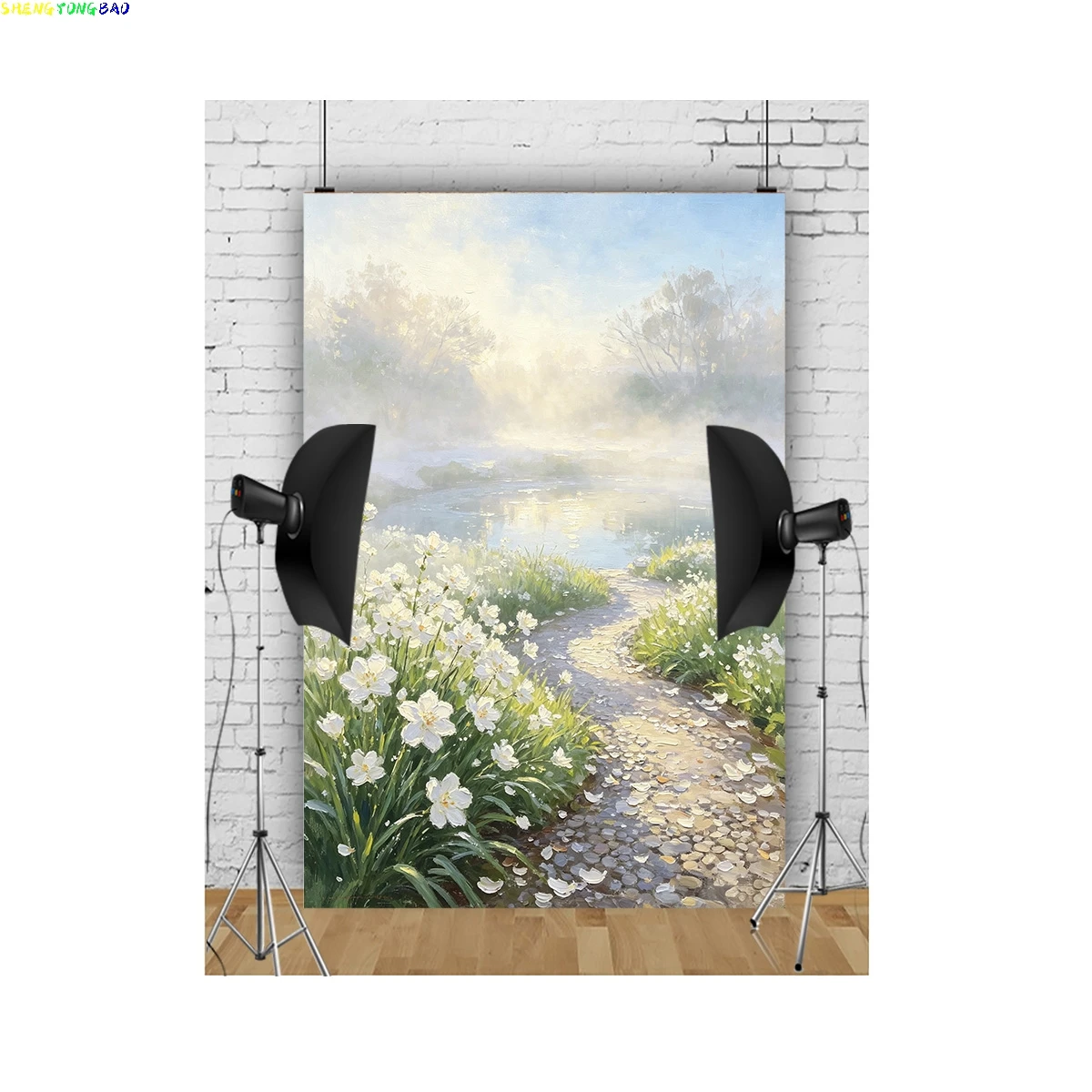 Western Classical Art Renaissance Impressionist Photography Background Retro Abstract Texture Studio Backdrops CT-03