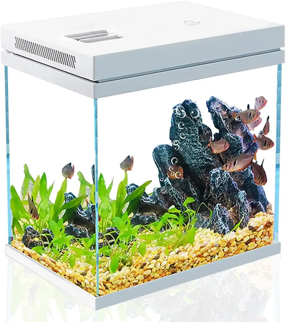 

4 Gallon Nano Aquarium Fish Tank with Upgrade Filter System And LED Light Freshwater Marine Compatible with Filter Balls