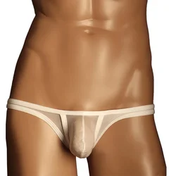 Men Sexy Briefs Underwear Pouch Panties Low Rise Sheer Lingerie Breathable Thong Translucent Ultra-thin Bikini Thongs Man