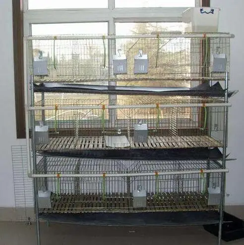 

Многослойная клетка для курятника с кроликом и голубями на заказ