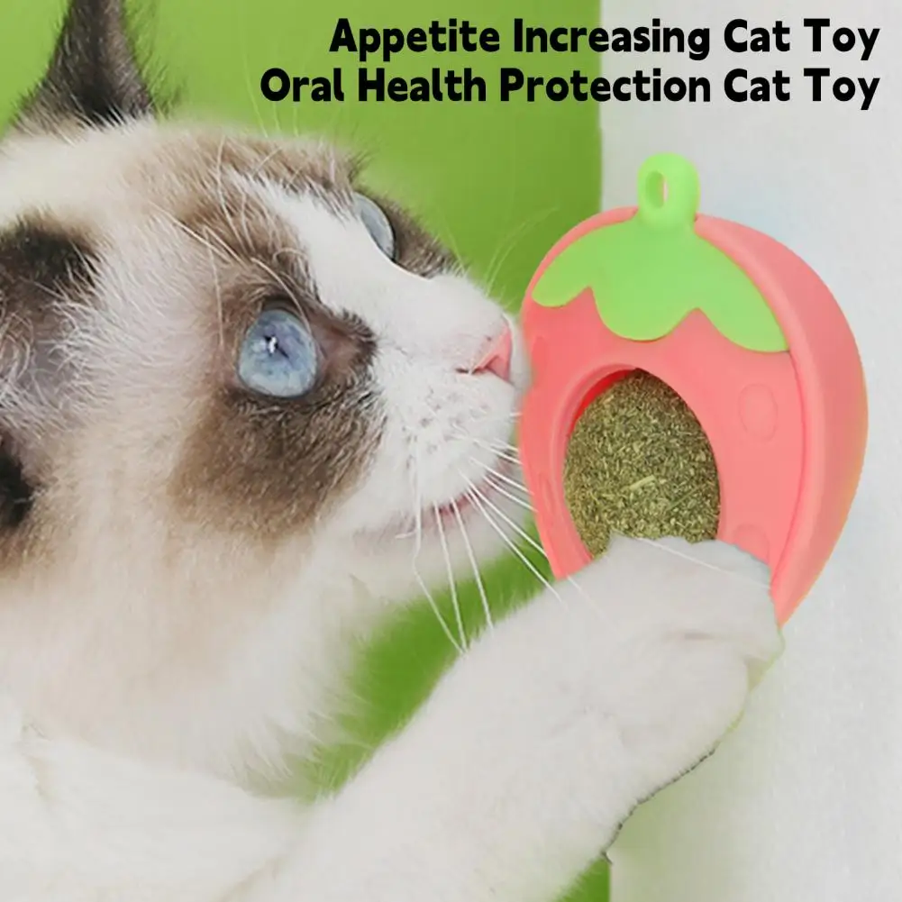 Appetite Increasing Cat Toy Plaque Tartar Removal Cat Toy Catnip Rotatable Ball Toy for Cats Teeth Molar for Dental for Fun