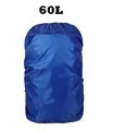 60L