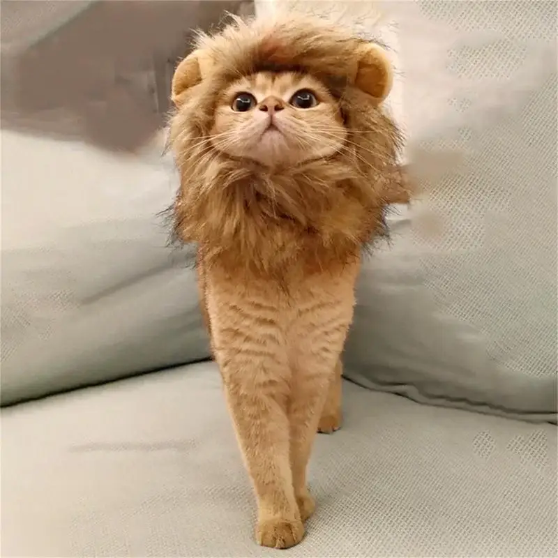 Lion Costume For Cat Lion Costume For Dog Cat Costume Lion Thick Hair Mane For Cats And Dogs Party Photograph Entertainment