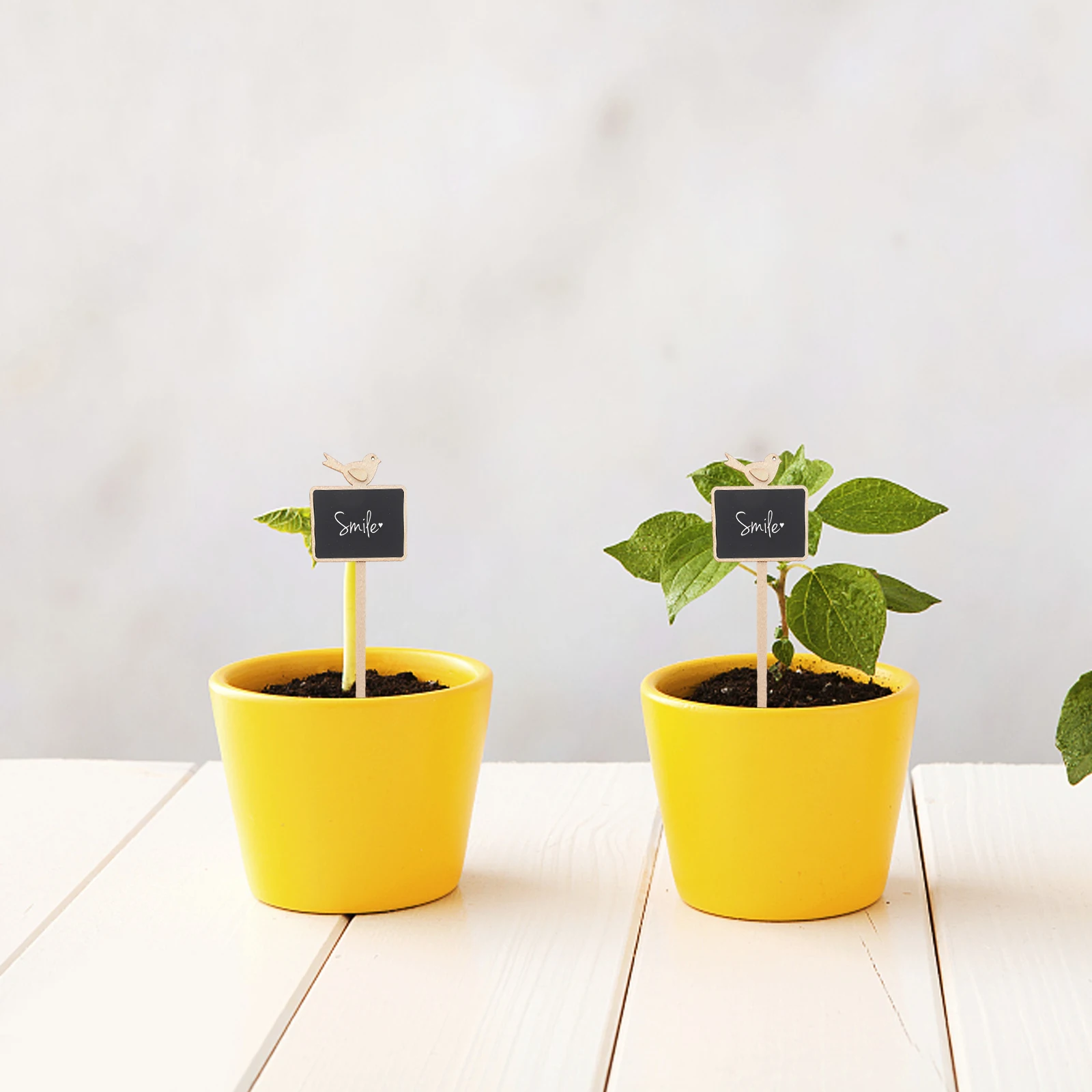 

20 Pcs Mini Chalkboard Picks Bird Flower Design Garden Decorative Tags Plant Signs Home Party Wedding Christmas