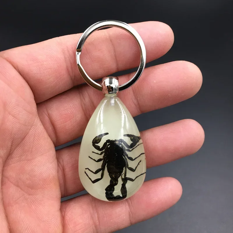 Creative Design 1PC Resin Insect Luminous Key Chain Noctilucent Scorpion Insect Specimen Pendant Tourist Souvenirs Color Random