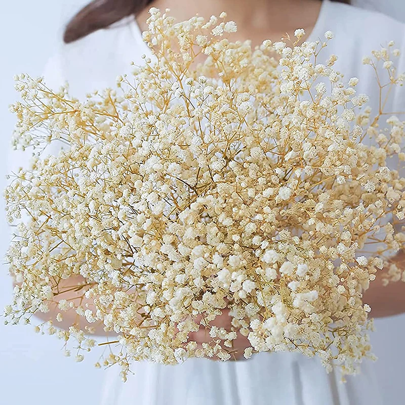 Dried Flowers Baby\'s Breath Bouquet White Dry Flowers,Natural Gypsophila Branches for Home Wedding,Table Decor,DIY Wreath Floral