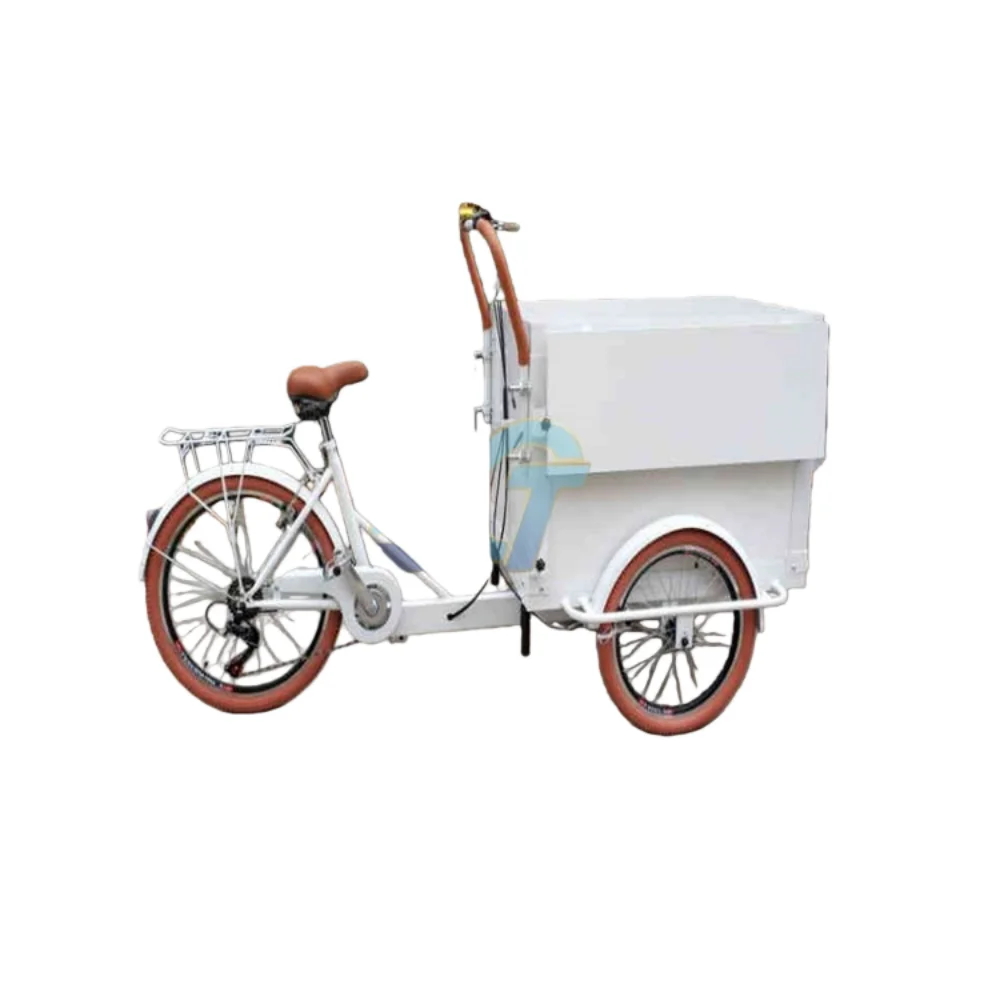 Factory Price Coffee Tricycle Cargo Bicycle Cafe Snack Ice Cream Bike for Sale