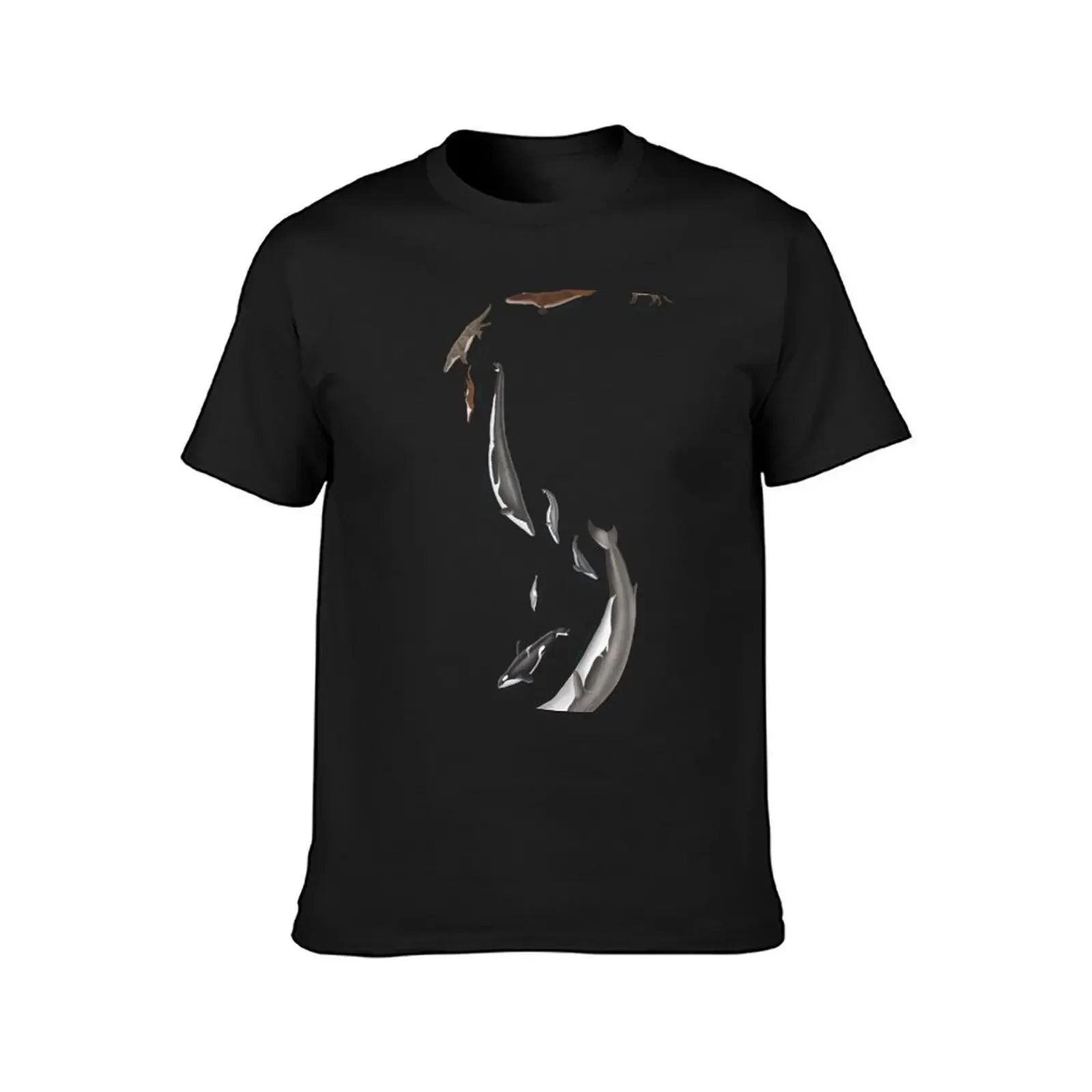 Whale evolution - prehistoric and modern whales T-Shirt blanks oversized t shirt new edition mens big and tall t shirts