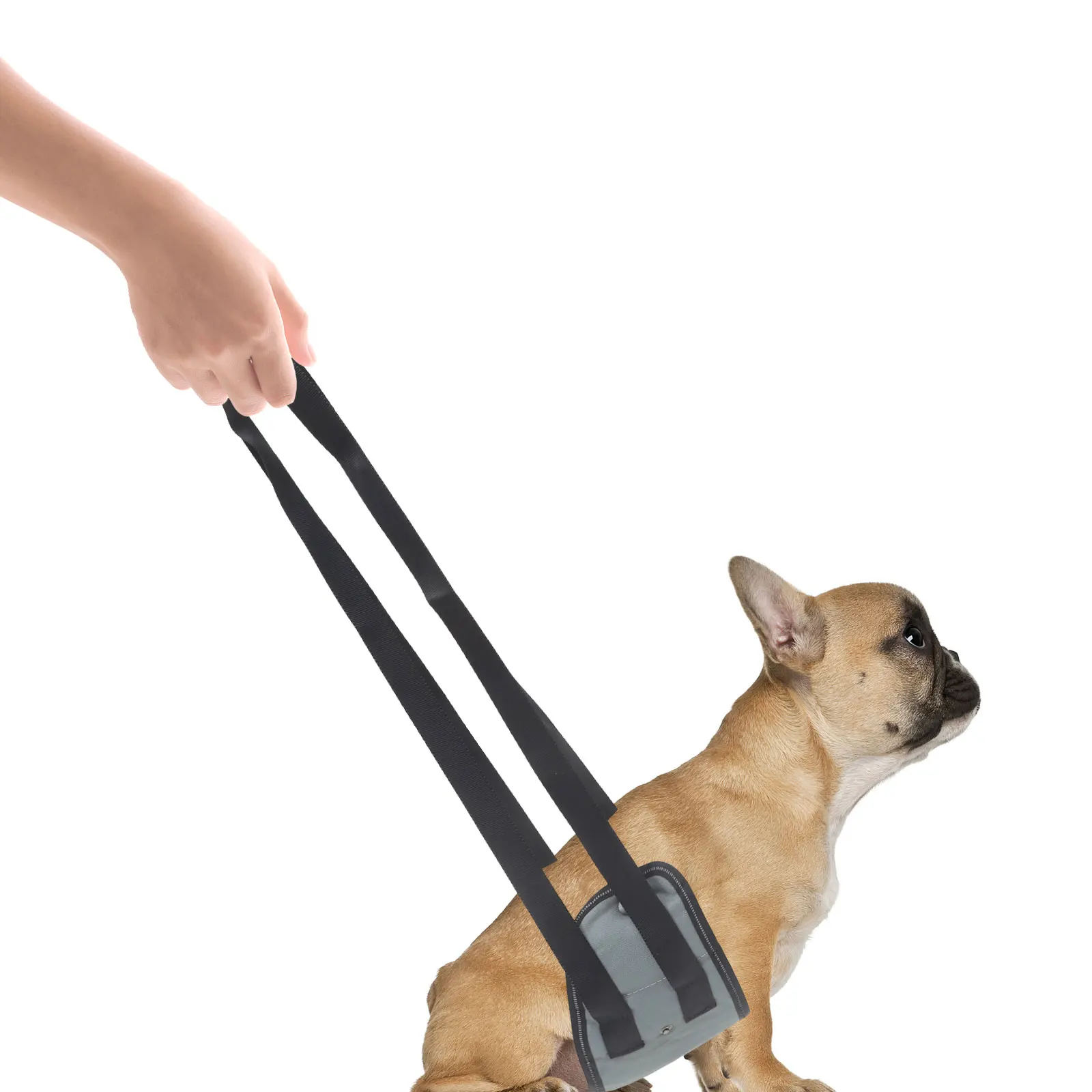 

Adjustable For Rear Dog Supplies Walking Elderly Disabled Dogs Walking Pet Rear Lifting Harness Outdoor Pet Harness