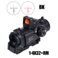 1-4X RM BK