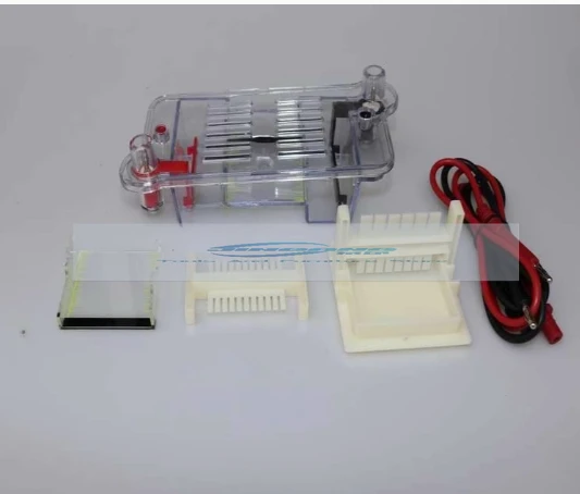 Horizontal Electrophoresis Tank Agarose Electrophoresis Tank Biological Instrument Molecular Separation Teaching Instrument