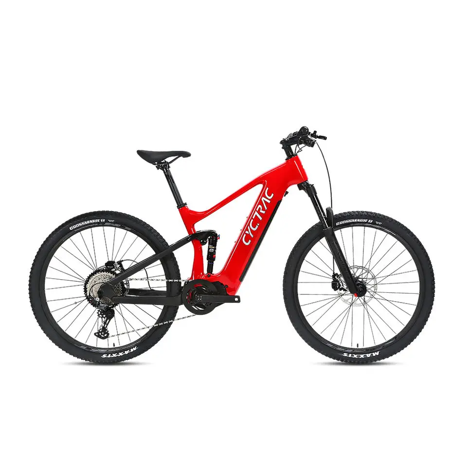 27.5/29er electric assist bike softtail mountain bike carbon frame Bafang mid torque motor emtb Lindau Electric Mountain e-Bike