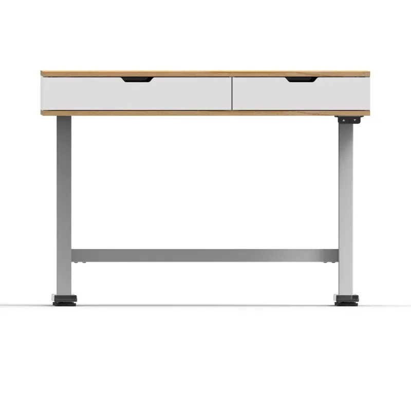 Functional Easy Assemble Ergonomic Electric Study Desk Height Adjustable Standing Desk With Drawer For School Children