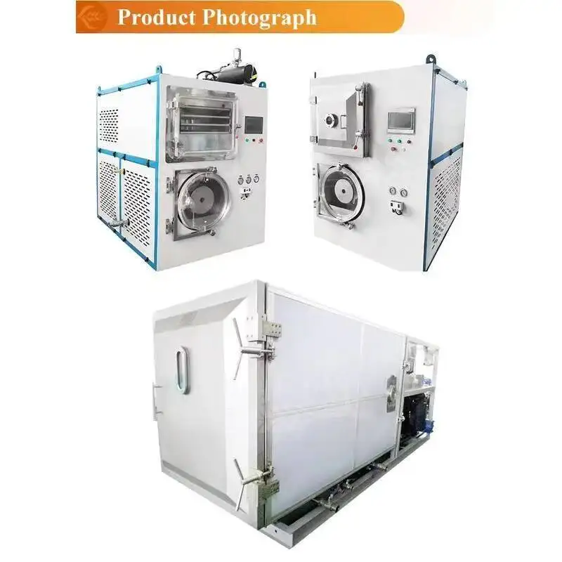 Freeze Drying Machine Cordyceps, Fruits And Vegetables, Commercial Intelligent In-situ Vacuum Freeze Drying Machine