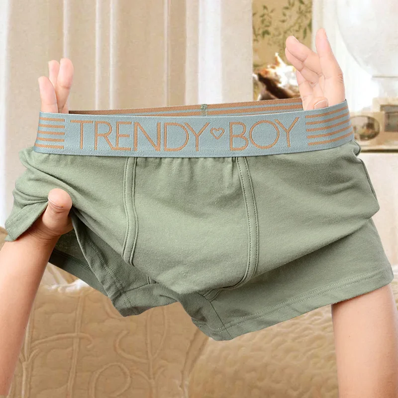 New TRENDY BOY Boxer Panties Pure Cotton Sports Men Boxers Shorts Large Size Breathable Mens Underwear Man Size Plus L-6XL