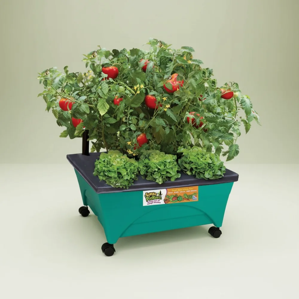 

Kids Mobile Raised Bed Grow Box with Self-Watering & Casters - Educational Gardening Toy for Children