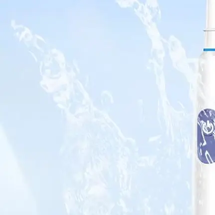 US Stock Electric Toothbrush Rotary Rechargeable Electric Toothbrush for Adults Rotating Electric Toothbrushes