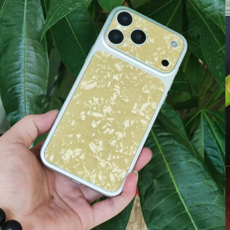 

For Apple 17 Promax film, Personality factor skin back film, For Apple phone back film patch