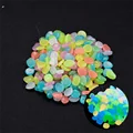 Multicolor-100Pcs