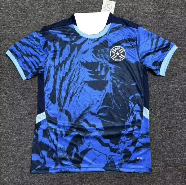 

2025 Summer Hot-selling New Paraguay Sports Jersey Outdoor Training Breathable Quick-drying Daily Casual Short-sleeved T-shirt